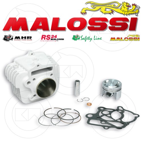 Malossi 3113693 gruppo - malossi,